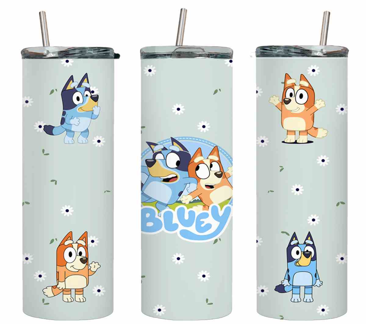 Bluey-8643